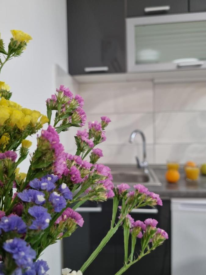 Studio Apartment Rosalie สปลิท ภายนอก รูปภาพ